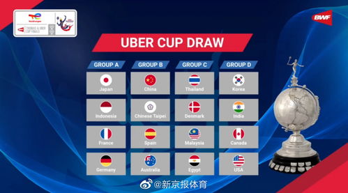 全球杯抽签分组（全球杯抽签分组名单）